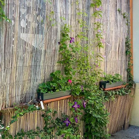 Garden Near Kupele Sliac-central Slovakia